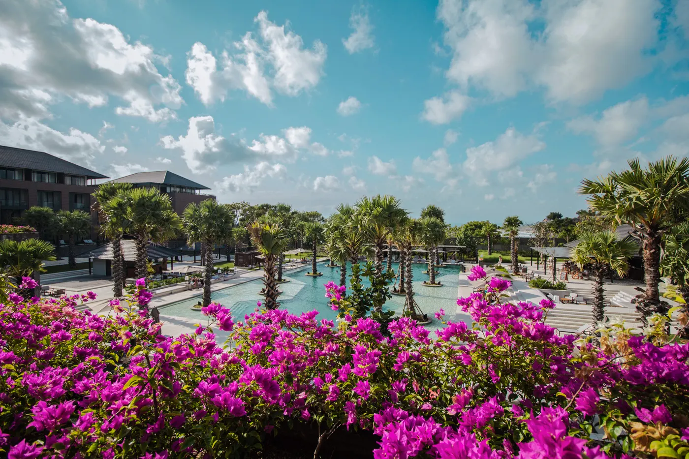 Resort pool seen over bright bougainvillea