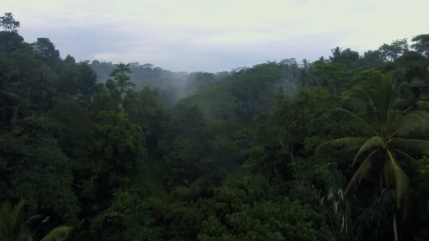 Samsara Resorts: Samsara Ubud: a resort film in the jungle