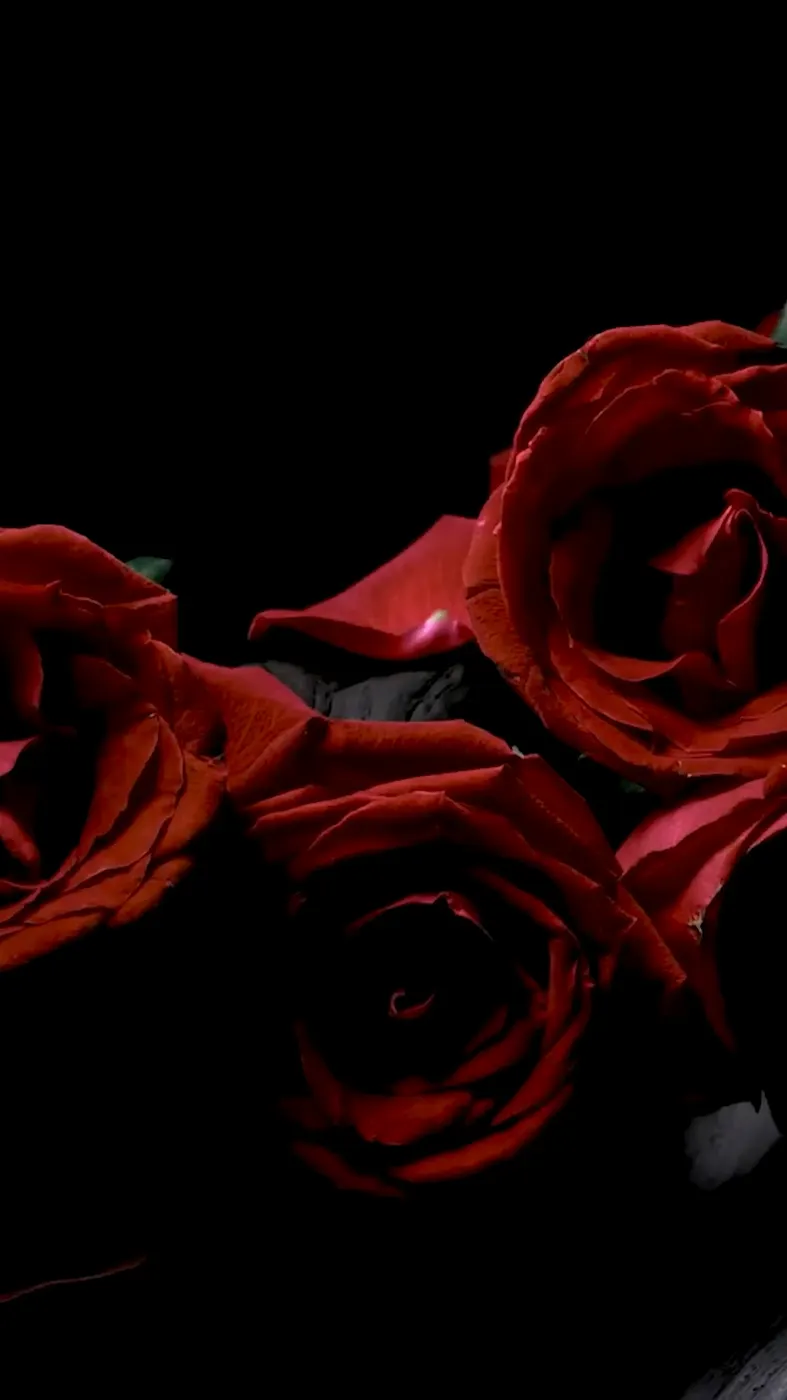Fragrance Noir: Fragrance Noir: a perfume launch film